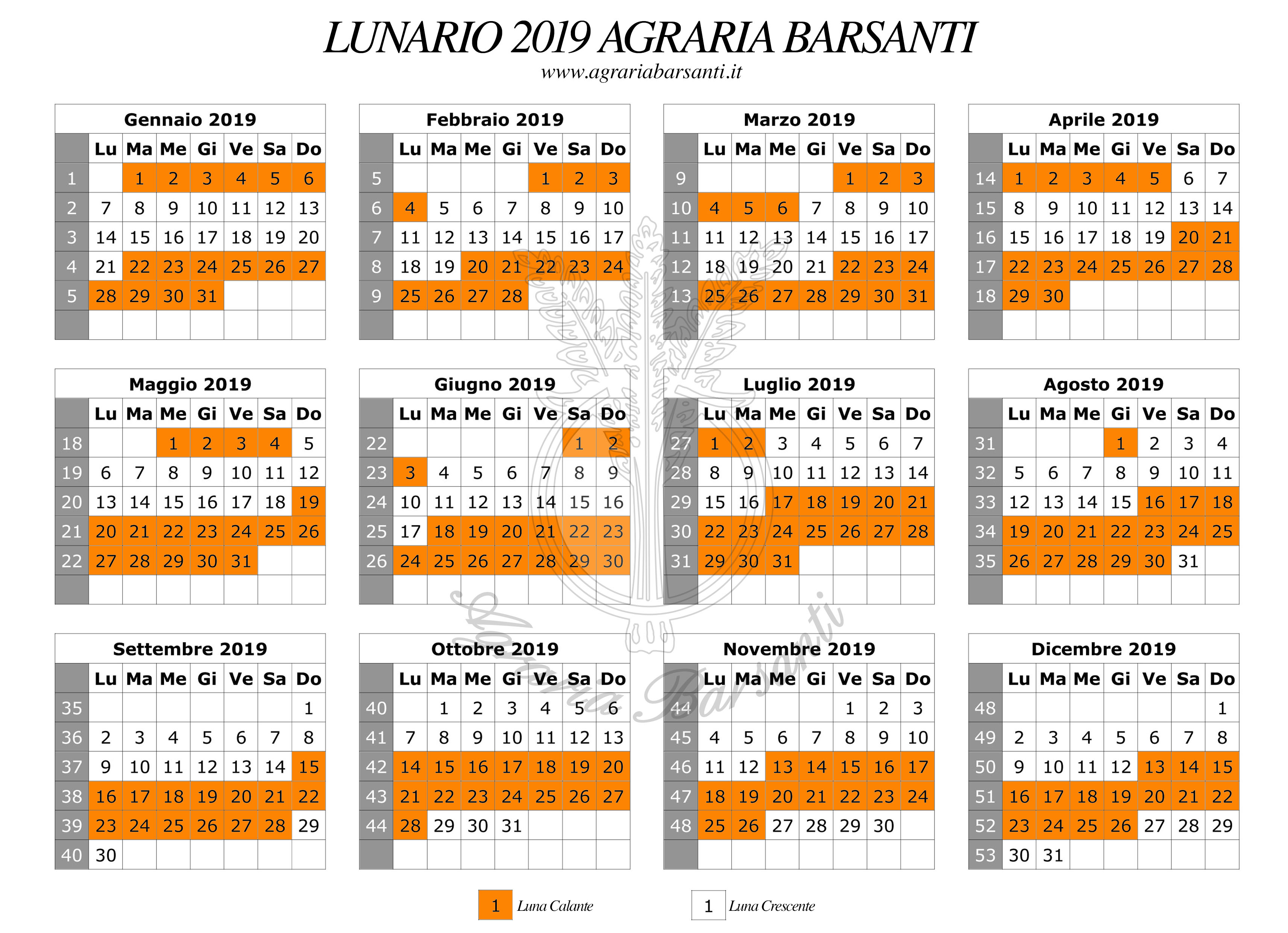 calendario lunario 2019