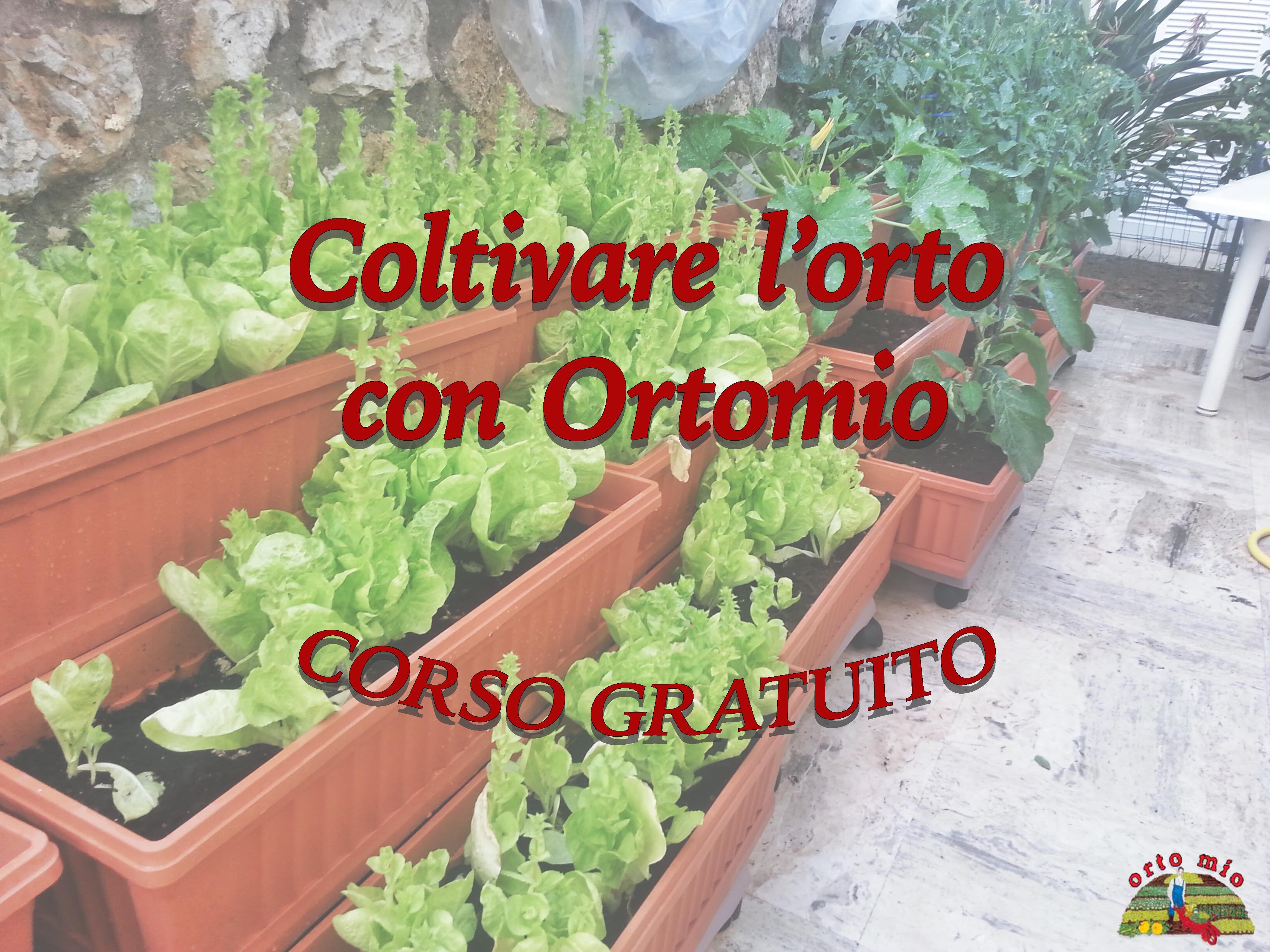 coltivare l'orto