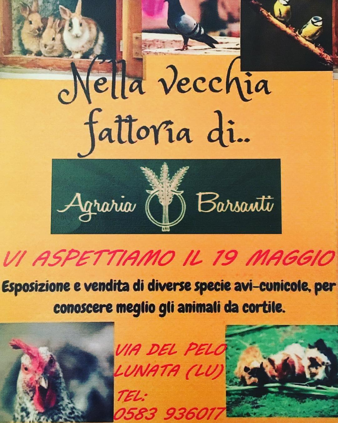 Eventi Agraria Barsanti