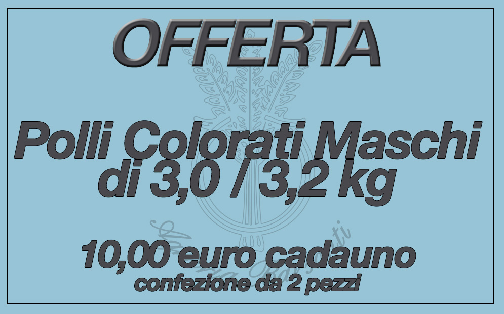 Offerte Agraria Barsanti